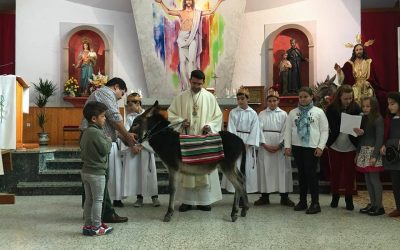 Festividad de Cristo Rey