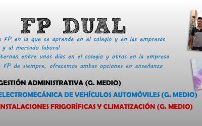 Formación Profesional Dual