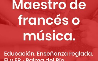 Proceso Selección Maestro/a EP